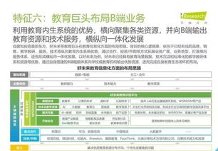 2019年中國教育信息化行業報告 信息技術咨詢服務分析